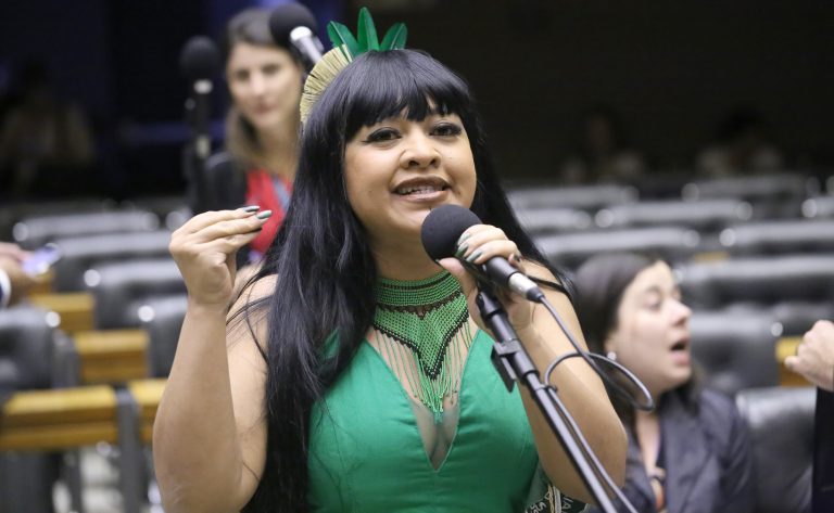 Mesa-redonda debate enfrentamento à violência política de gênero e raça para paridade