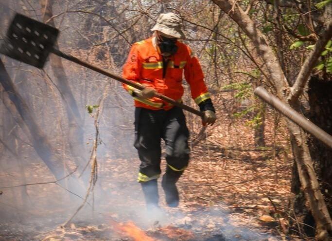 Bombeiros combatem incêndio de grandes proporções em vegetação na zona rural de Apodi