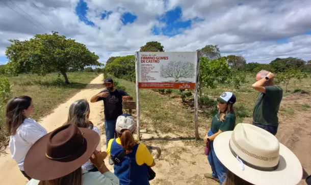 Feito Potiguar lança turismo de experiências para valorizar produção do RN