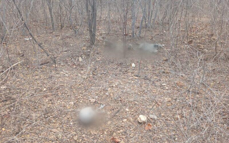 Ossada humana é encontrada em área de mata no bairro Alto do Sumaré em Mossoró