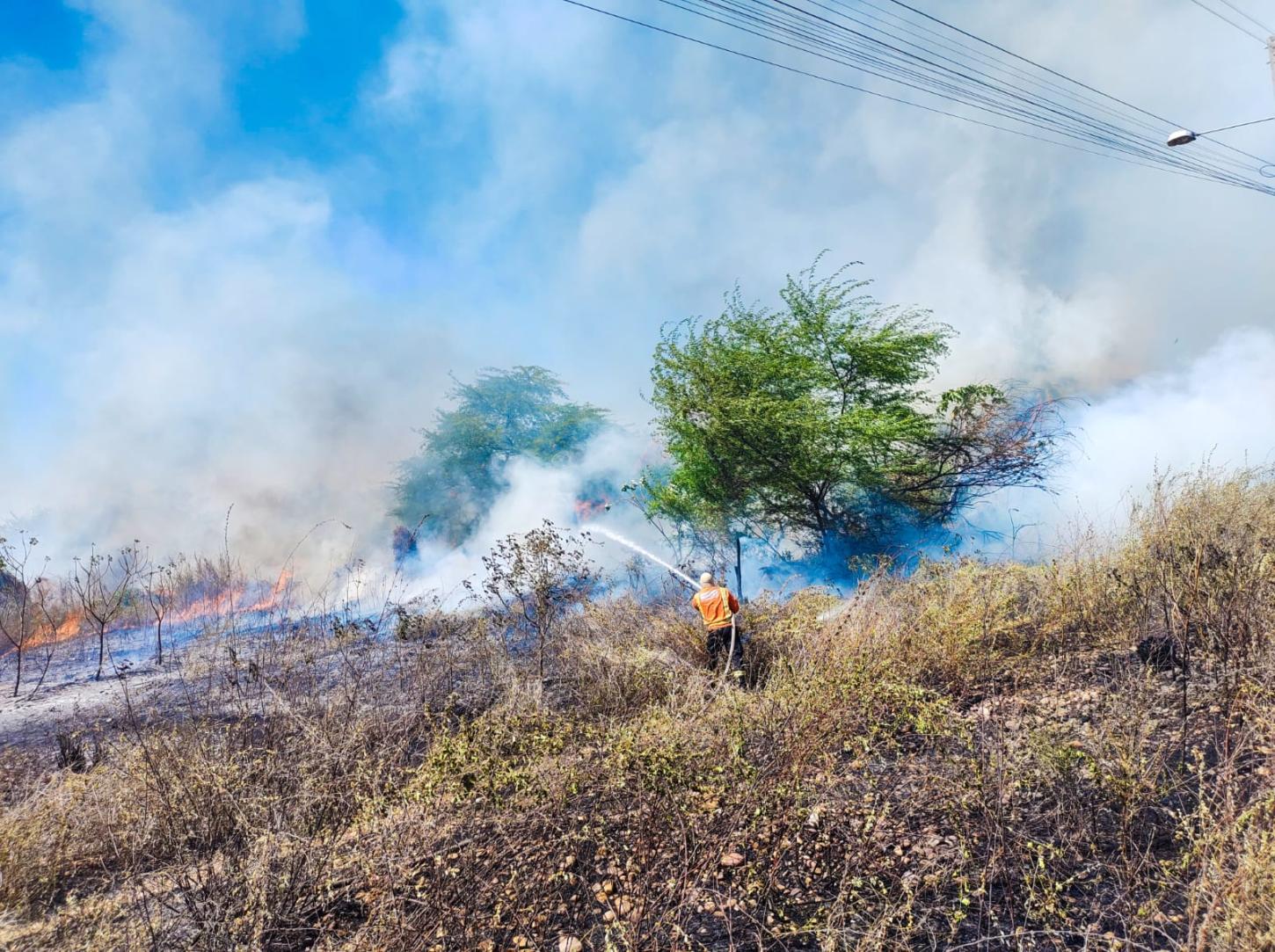 Corpo de Bombeiros do RN atende 13 incêndios em vegetação em um único dia