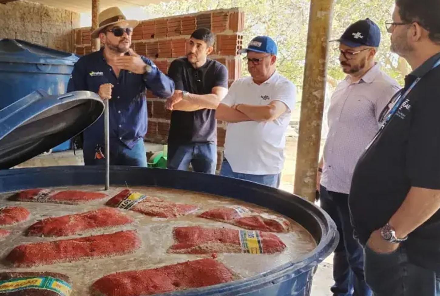 Expansão da agricultura regenerativa em 2026 impulsiona fruticultura no Rio Grande do Norte