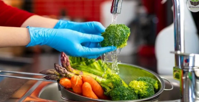 Prefeitura abre inscrições para curso de boas práticas na manipulação de alimentos em Portalegre