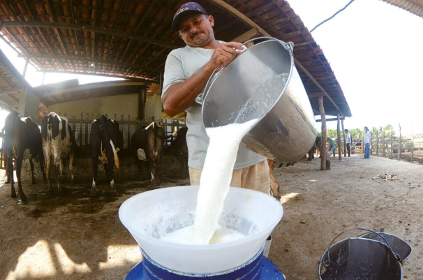 Produção de leite no Rio Grande do Norte cresce 82% em valor nos últimos quatro anos