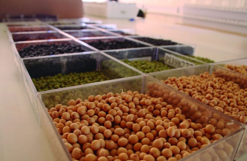 Programa Banco de Sementes 2026 beneficia mais de 68 mil agricultores no RN