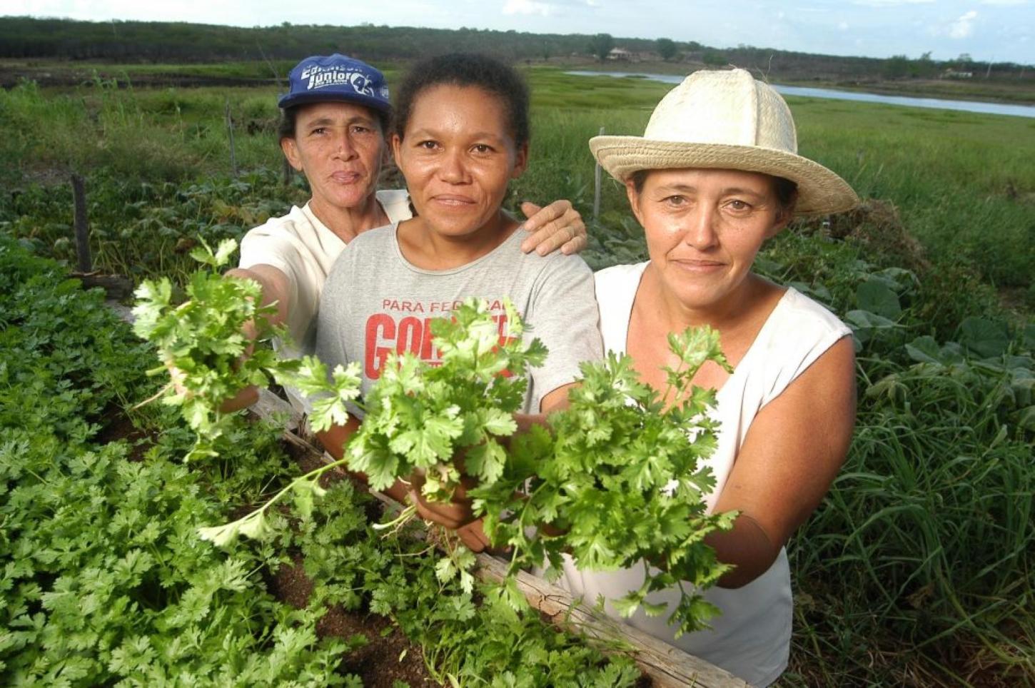 Programa voltado às mulheres rurais entra em nova fase no Rio Grande do Norte