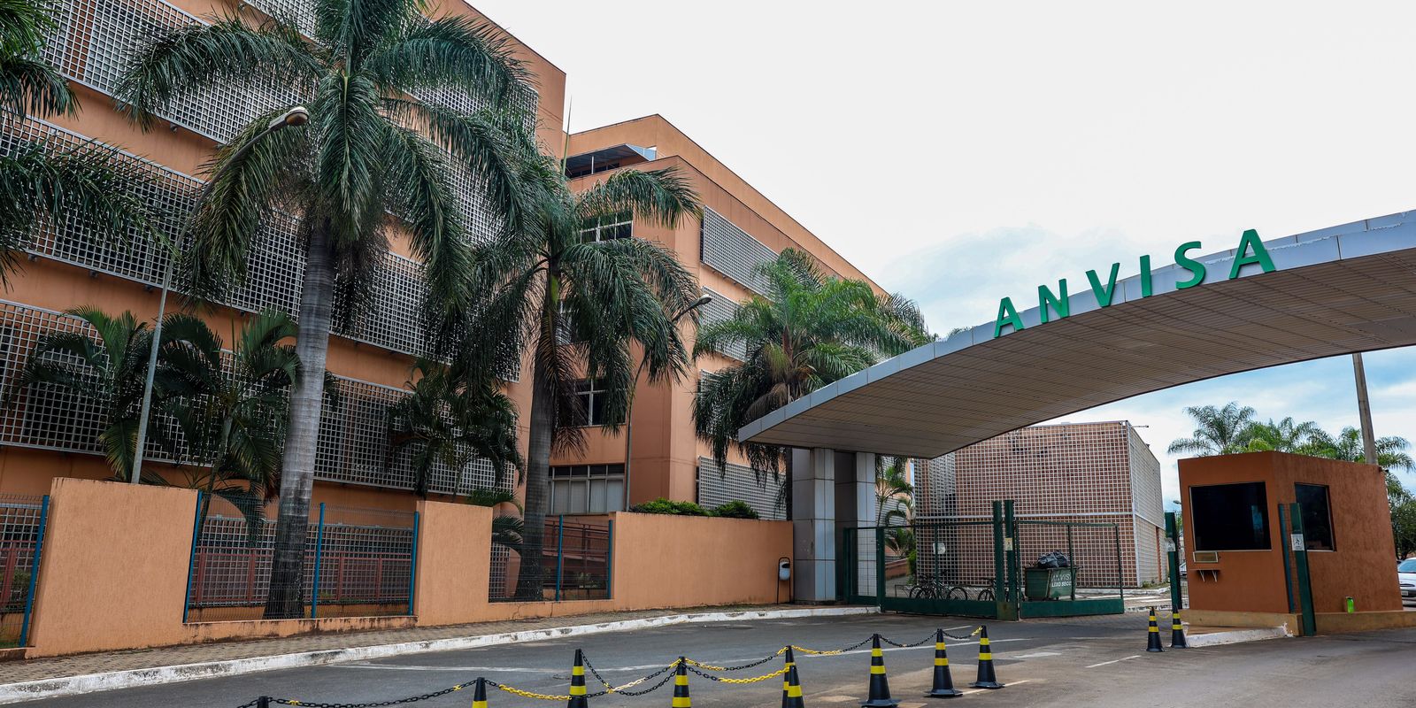 Anvisa alerta para o risco de danos hepáticos associados a suplementos de cúrcuma