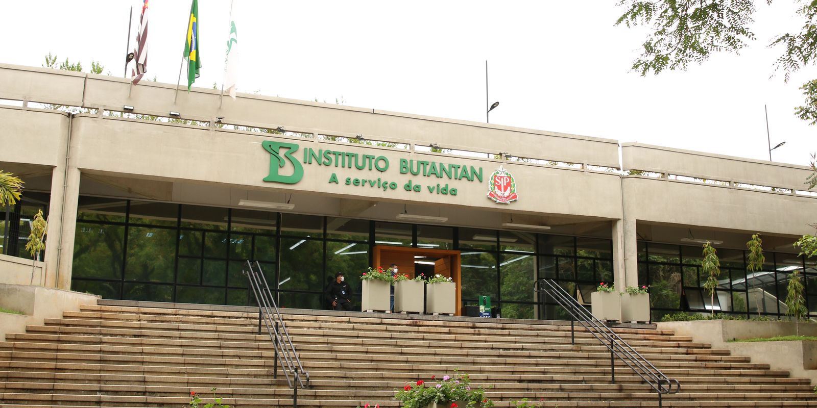 Butantan fabricará medicamento contra o câncer para o SUS