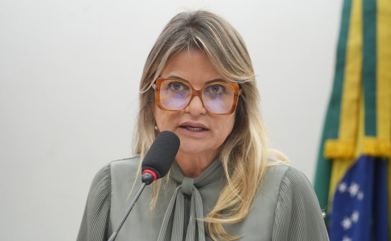 Câmara dos Deputados discute trabalho infantil digital em audiência