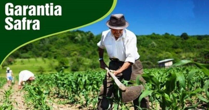 Garantia Safra 2024/2025 começa a ser pago e beneficia agricultores em São Miguel