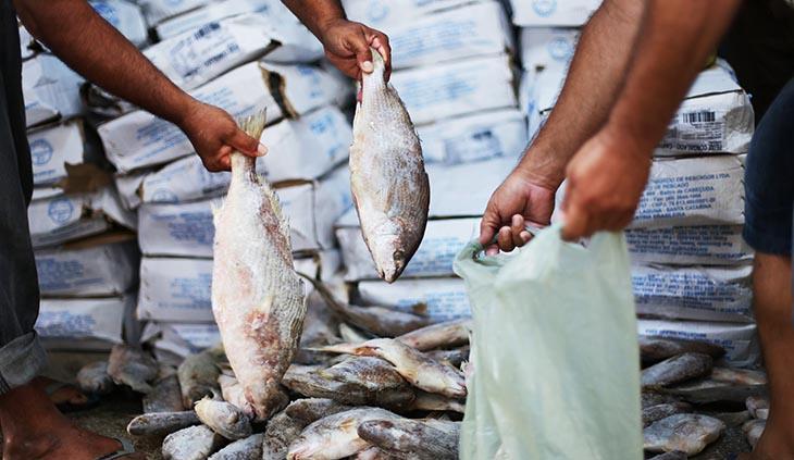 Prefeitura de Apodi anuncia entrega de peixe para beneficiários do Bolsa Família na Semana Santa