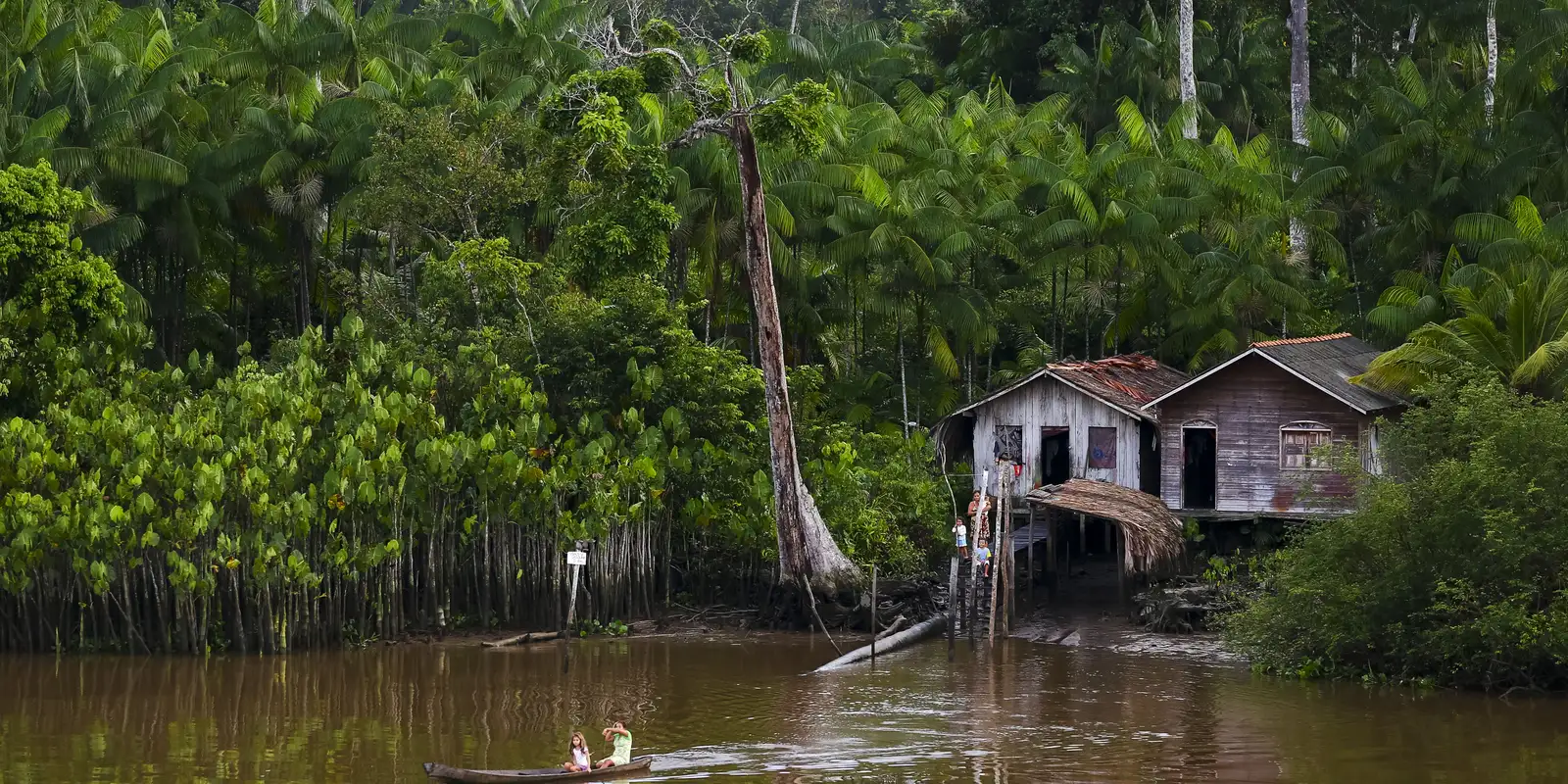Iniciativa oferece tratamento gratuito para doença de Jorge Lobo na Amazônia