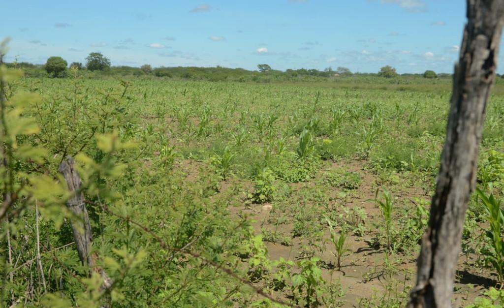 Secretaria de Agricultura inicia nova etapa de visitas do programa Semear em Mossoró