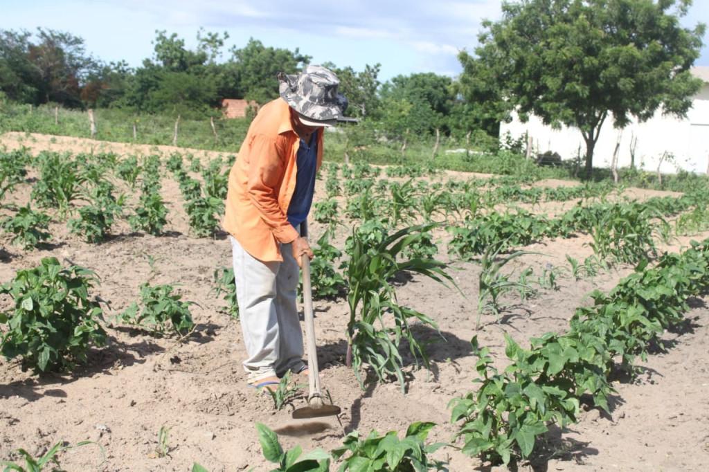 Secretaria de Agricultura inicia visitas técnicas a beneficiários do Programa Semear em Mossoró