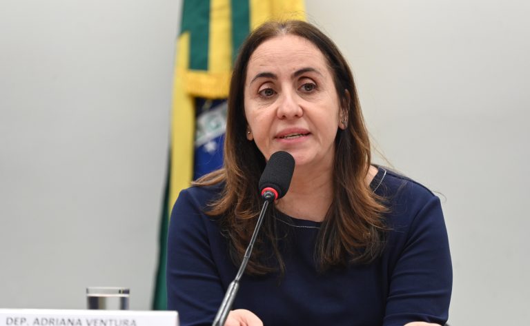 Comissão da Câmara discute o impacto dos fatores estruturais na economia brasileira
