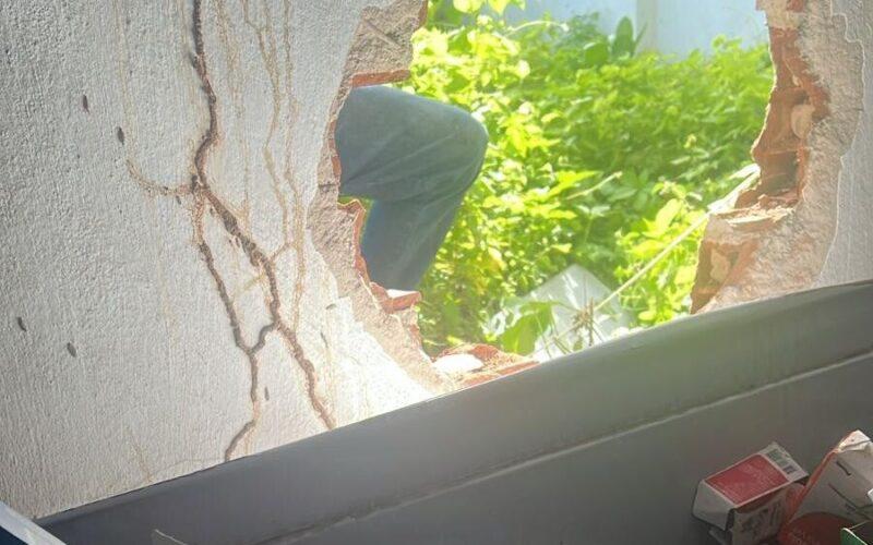 Criminosos furtam equipamentos de loja veterinária durante feriado em Mossoró