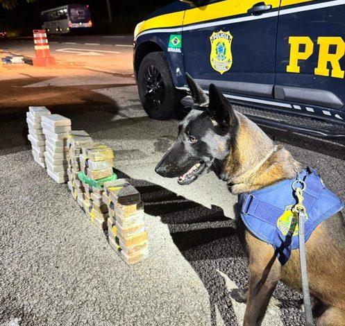 PRF apreende mais de 47 quilos de cocaína escondidos em carro na BR-101