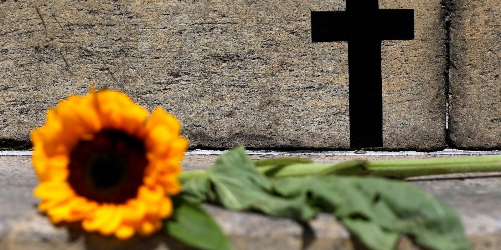 Feminicídio em São Paulo: aumento de 41% nos casos e 31,9% nas violações de medidas protetivas