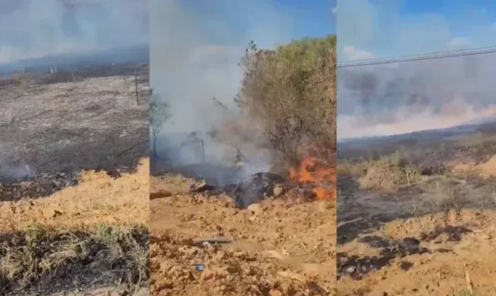 Bombeiros combatem incêndio florestal de grandes proporções em São Miguel