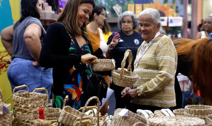 Brasil já conta com 4,5 milhões de empreendedores na economia prateada