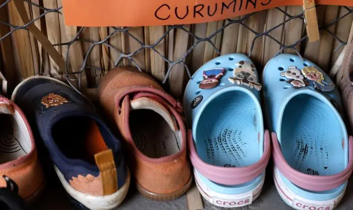 Apenas 17% das creches e pré-escolas possuem infraestrutura básica, aponta censo