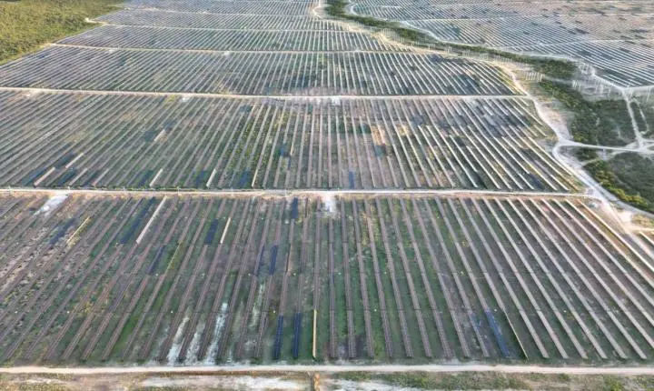 Levantamento aponta baixo compromisso de empresas de energia eólica e solar com direitos humanos