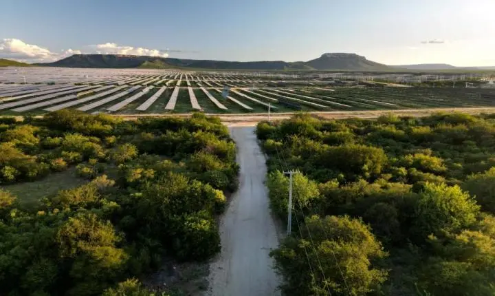 Levantamento aponta baixo compromisso de empresas de energia eólica e solar com direitos humanos
