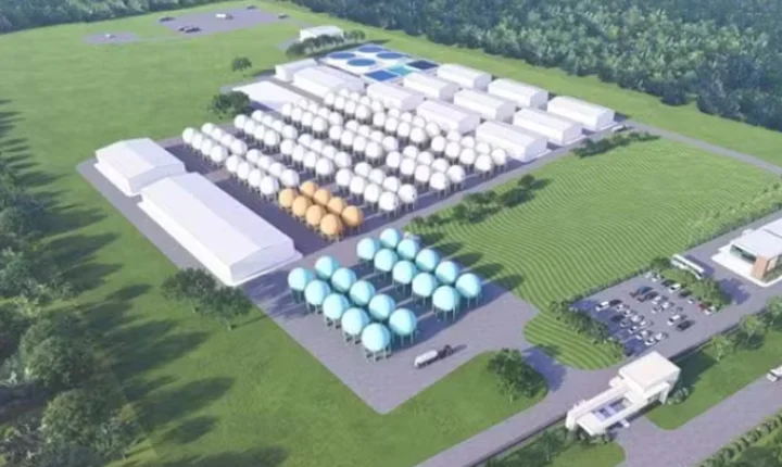 Licença ambiental viabiliza usina de hidrogênio verde de R$ 12 bilhões no RN