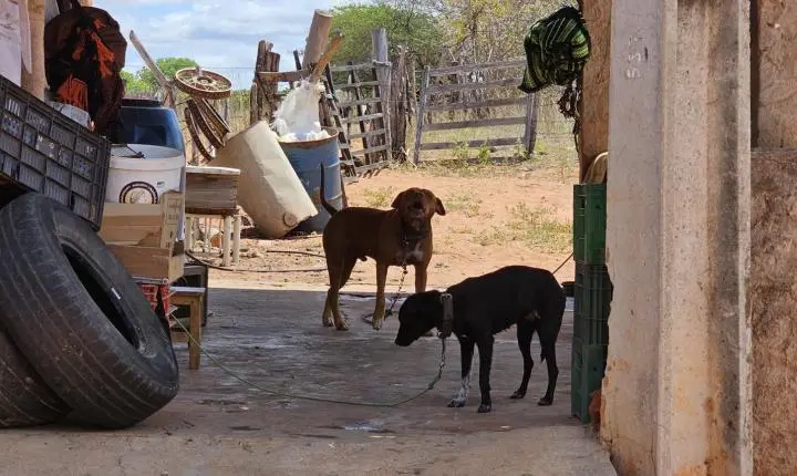 PM realiza patrulhamento rural na região da Areia em Apodi