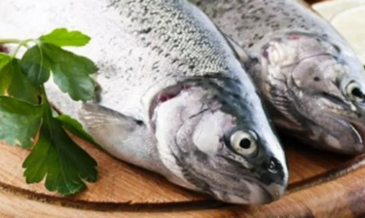 Prefeitura de Itaú inicia cadastramento para entrega do peixe da Semana Santa