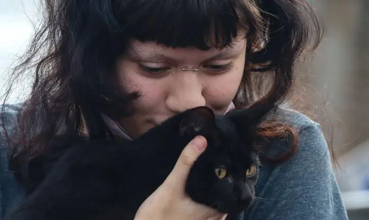 Prefeitura de São Paulo disponibiliza castração gratuita para cães e gatos