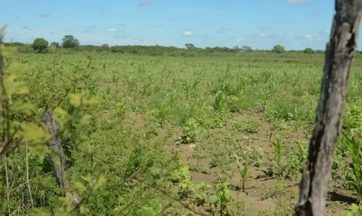Secretaria de Agricultura inicia nova etapa de visitas do programa Semear em Mossoró